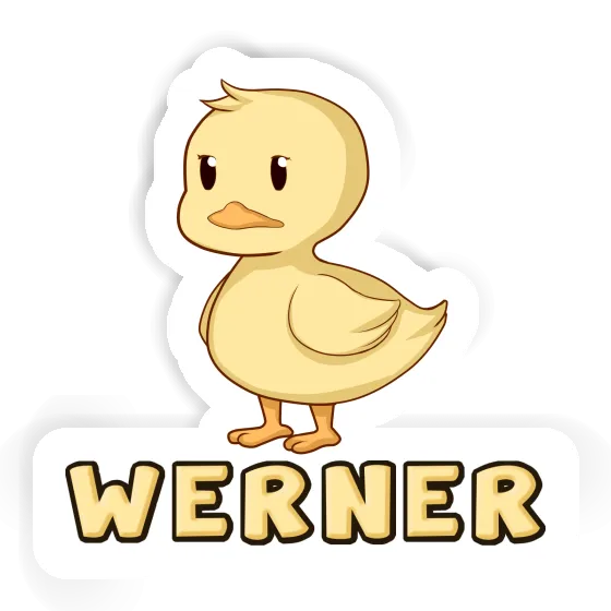 Sticker Werner Duck Gift package Image