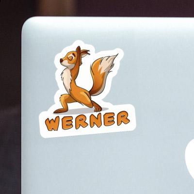 Werner Sticker Yoga Squirrel Gift package Image