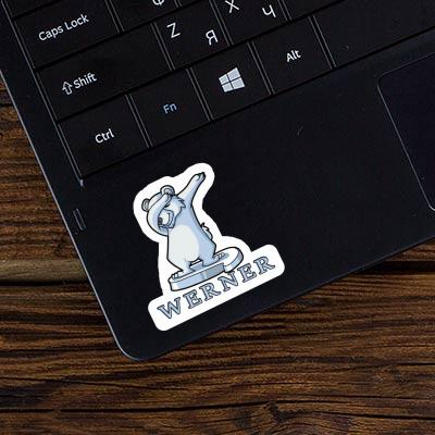 Polar Bear Sticker Werner Laptop Image