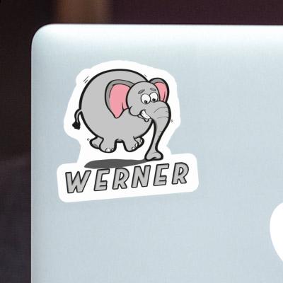 Sticker Jumping Elephant Werner Laptop Image