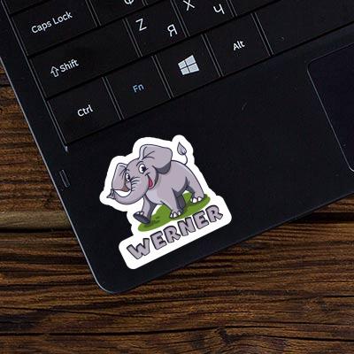 Werner Sticker Elefant Laptop Image