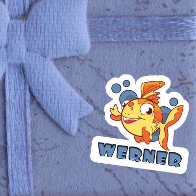 Autocollant Poisson Werner Gift package Image