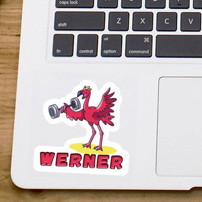 Sticker Weight Lifter Werner Image