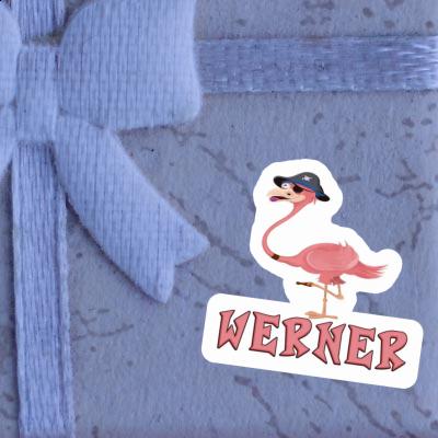 Aufkleber Flamingo Werner Gift package Image