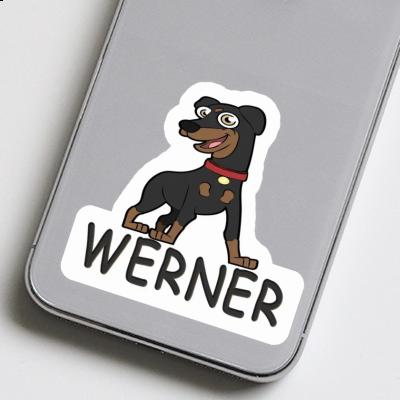 German Pinscher Sticker Werner Image