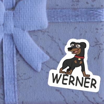 German Pinscher Sticker Werner Notebook Image