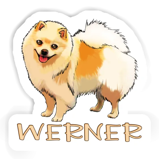 German Spitz Sticker Werner Image