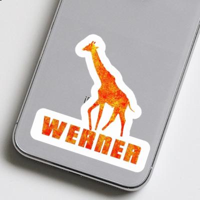 Autocollant Werner Girafe Gift package Image