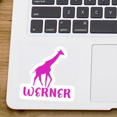 Sticker Giraffe Werner Laptop Image
