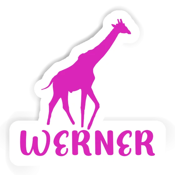 Autocollant Werner Girafe Gift package Image