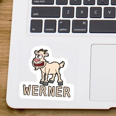 Sticker Goat Werner Image