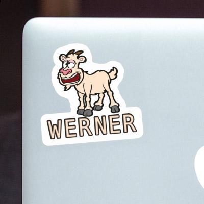 Sticker Goat Werner Gift package Image