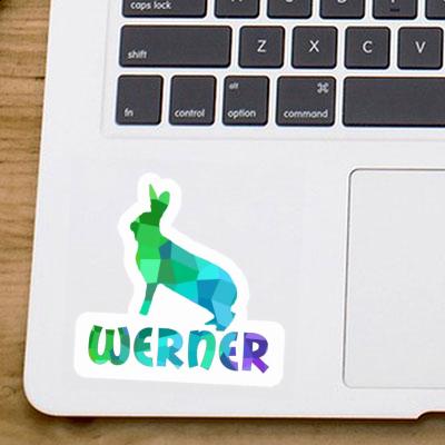 Rabbit Sticker Werner Laptop Image