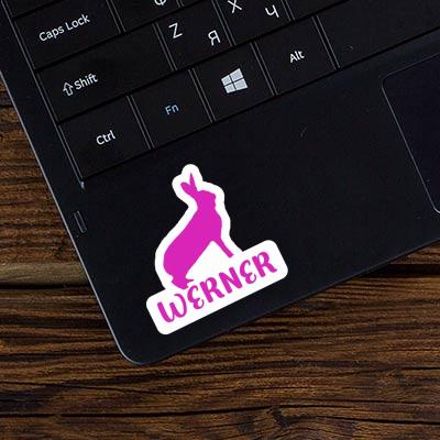 Sticker Rabbit Werner Laptop Image