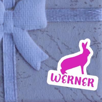 Aufkleber Kaninchen Werner Notebook Image