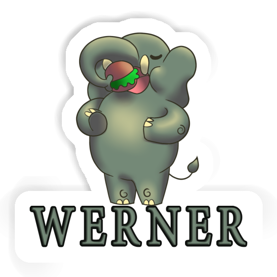 Aufkleber Elefant Werner Notebook Image