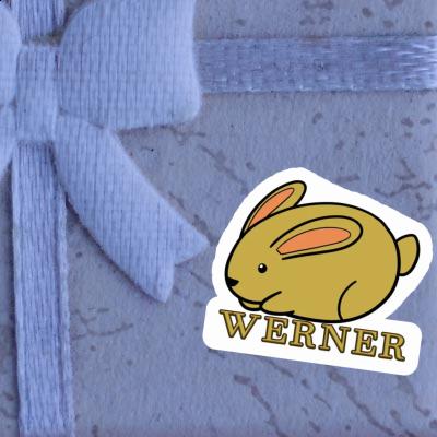 Werner Autocollant Lapin Gift package Image