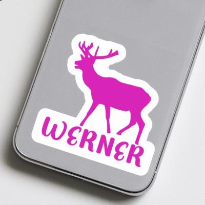 Autocollant Cerf Werner Gift package Image