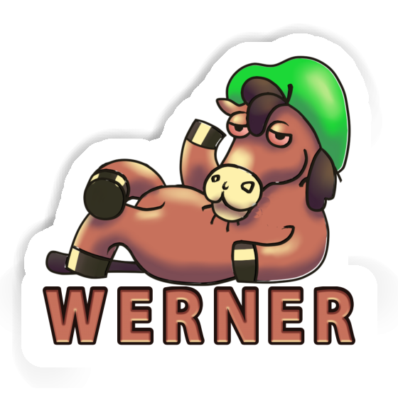 Sticker Werner Horse Gift package Image