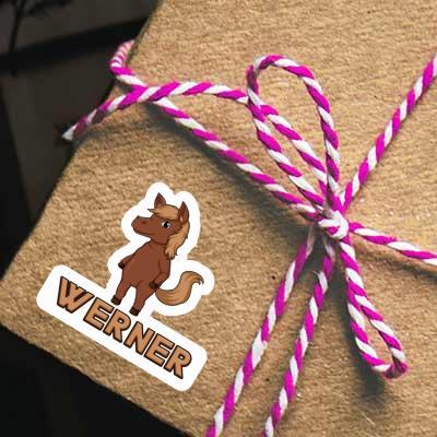 Horse Sticker Werner Gift package Image