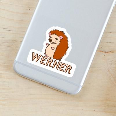 Werner Sticker Hedgehog Laptop Image