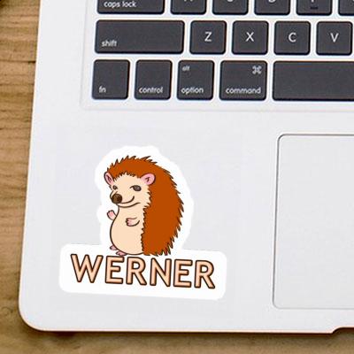 Werner Sticker Hedgehog Notebook Image