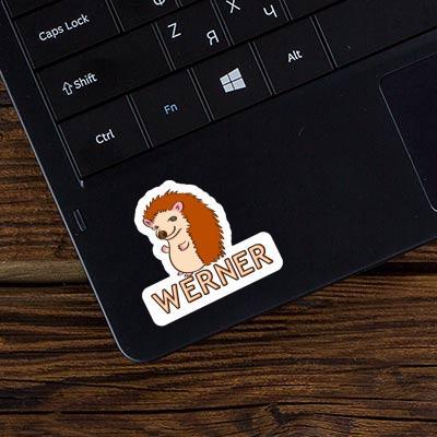 Werner Sticker Hedgehog Laptop Image