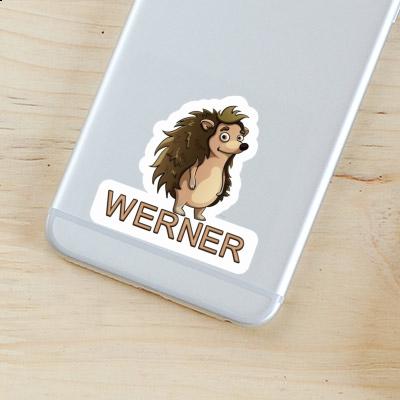 Werner Sticker Igel Gift package Image