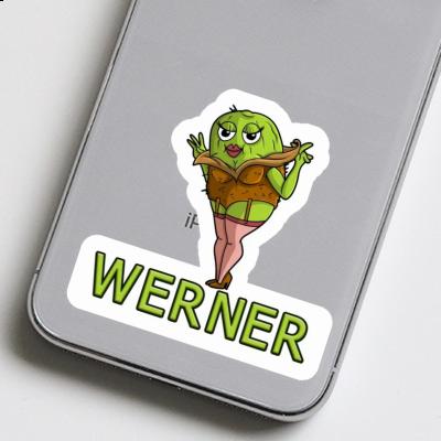 Sticker Kiwi Werner Gift package Image