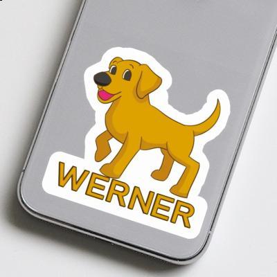 Sticker Werner Dog Laptop Image