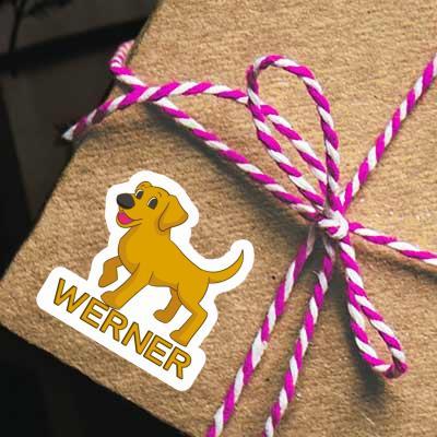 Werner Aufkleber Labrador Gift package Image