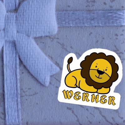 Sticker Lion Werner Laptop Image