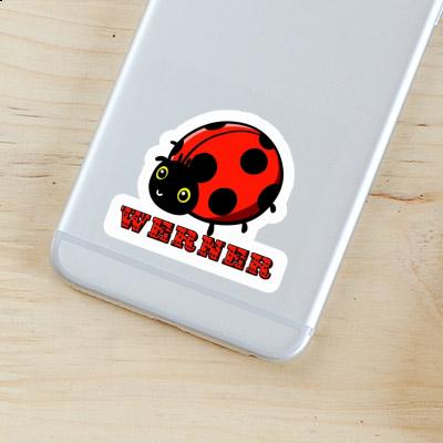 Ladybug Sticker Werner Notebook Image