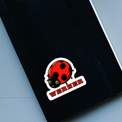 Werner Autocollant Coccinelle Notebook Image