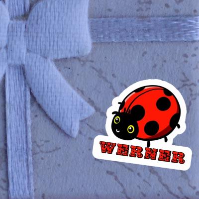 Ladybug Sticker Werner Laptop Image