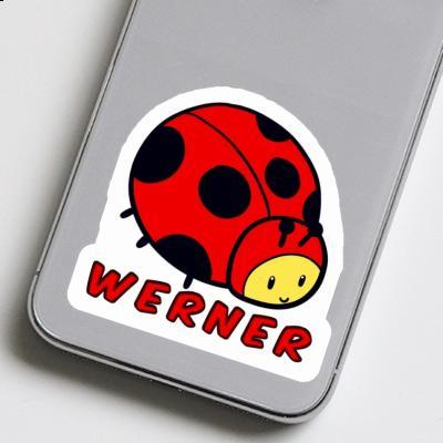 Sticker Werner Ladybug Laptop Image