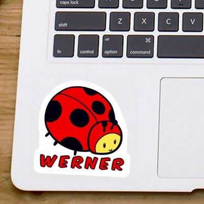 Marienkäfer Aufkleber Werner Laptop Image