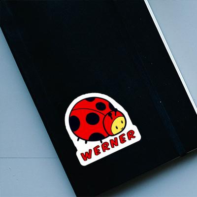 Sticker Werner Ladybug Notebook Image