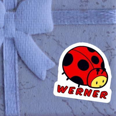 Coccinelle Autocollant Werner Gift package Image