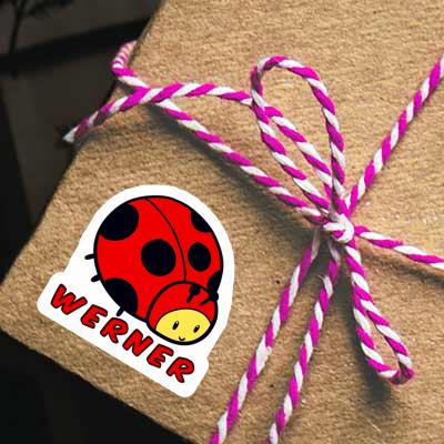 Sticker Werner Ladybug Notebook Image