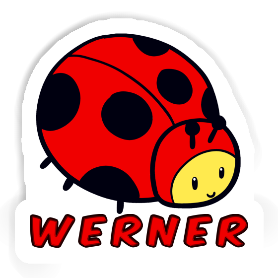 Sticker Werner Ladybug Image