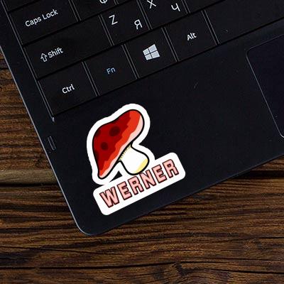 Sticker Toadstool Werner Laptop Image