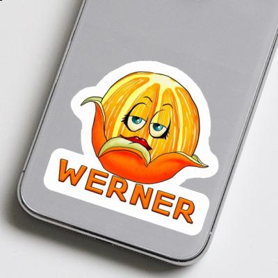 Werner Aufkleber Orange Laptop Image