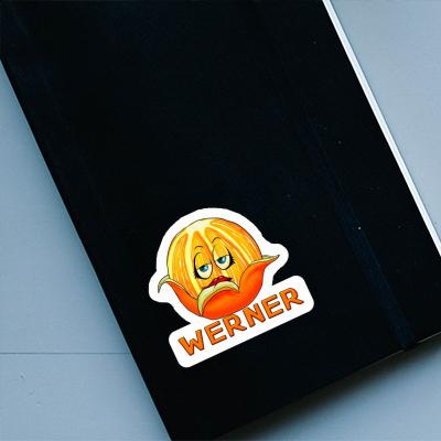 Werner Aufkleber Orange Notebook Image