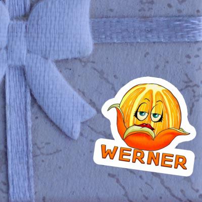 Autocollant Orange Werner Notebook Image