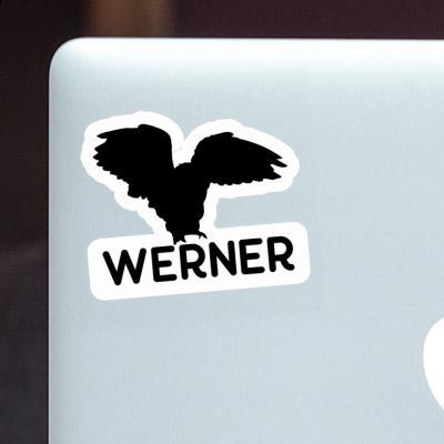 Owl Sticker Werner Laptop Image