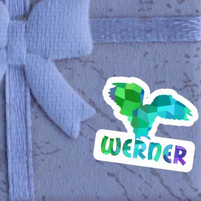 Sticker Werner Owl Notebook Image