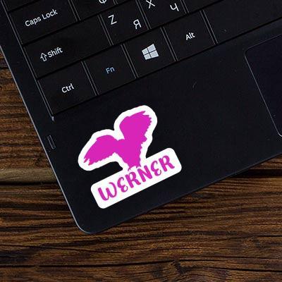Eule Sticker Werner Laptop Image