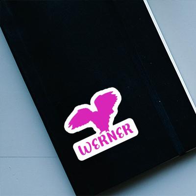 Owl Sticker Werner Gift package Image