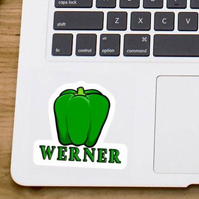 Werner Sticker Paprika Notebook Image